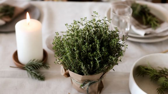 Inspiration végétale : comment intégrer des plantes aromatiques dans votre décoration festive